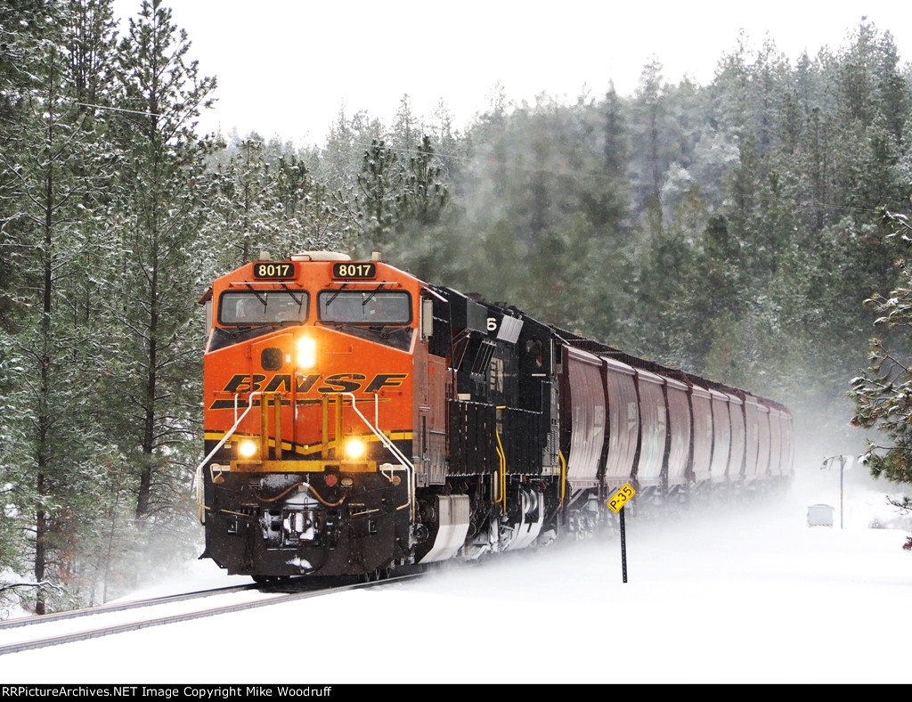 BNSF 8017